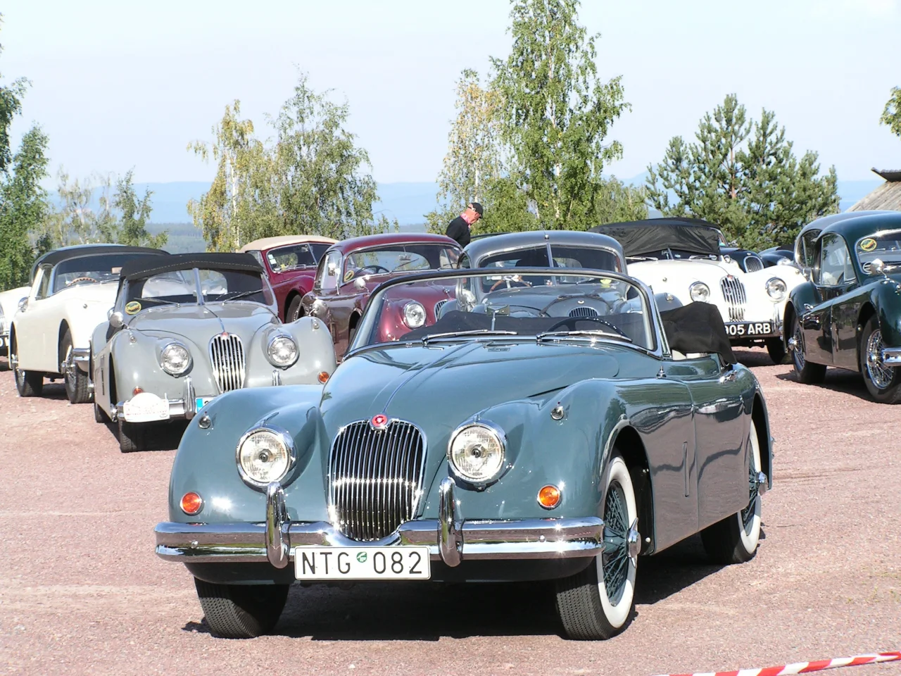 XK150 parkerad bland klassiska Jaguarer vid en utomhusträff