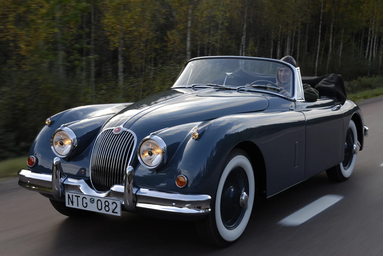 Kvällsljus över XK150-motorhuven och kromet under färd vid en skog